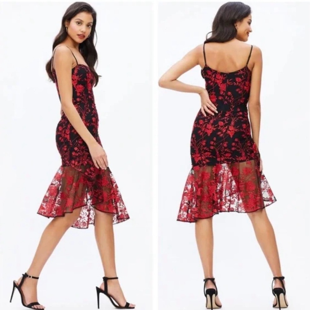 Dress the Population Black & Red Floral Lace Midi Dress